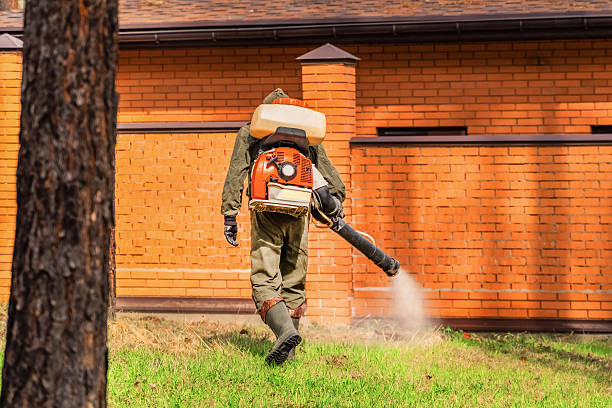 Trusted Cockroach Control service in Loganville, PA - Nex Pest Control
